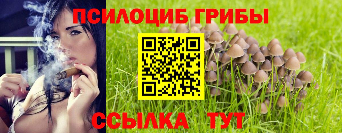 Галлюциногенные грибы Psilocybe  Вход с VPN  Советский 